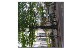 Imóvel 1728245 ['10174424'] - ['AVENIDA AFONSO ARINOS DE MELO FRANCO,N. 222  BL 01, SL 1707, BARRA DA TIJUCA - CEP: 22631-455, RIO DE JANEIRO - RIO DE JANEIRO'] ['Barra da Tijuca'] - ['Rio De Janeiro']/['RJ'] - 1